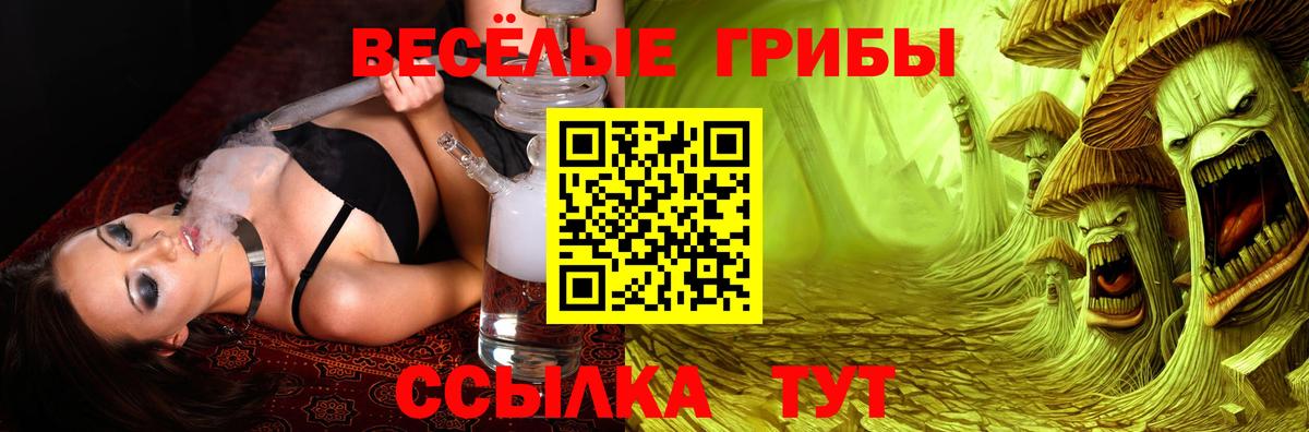 Псилоцибиновые грибы мухоморы  Вход с VPN  Заречный  Галлюциногенные грибы MAGIC MUSHROOMS 